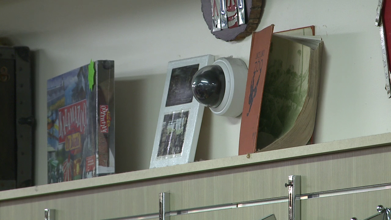 Kalamazoo Surveillance Program.png