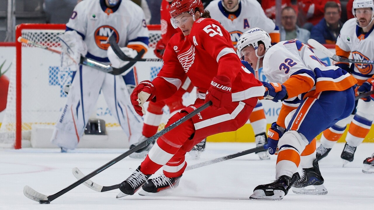 Islanders Red Wings Hockey
