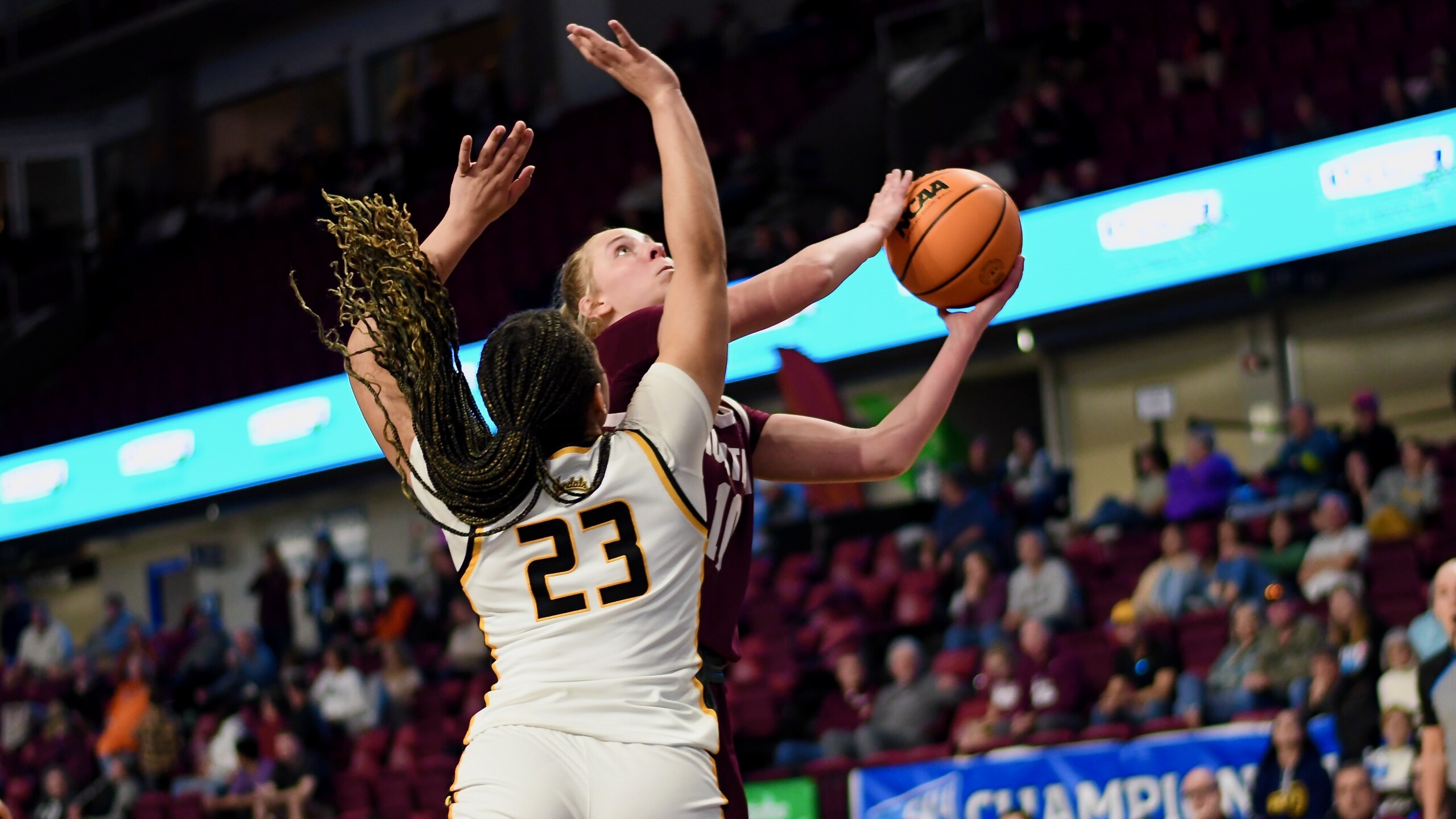 Montana vs. Idaho women's basketball