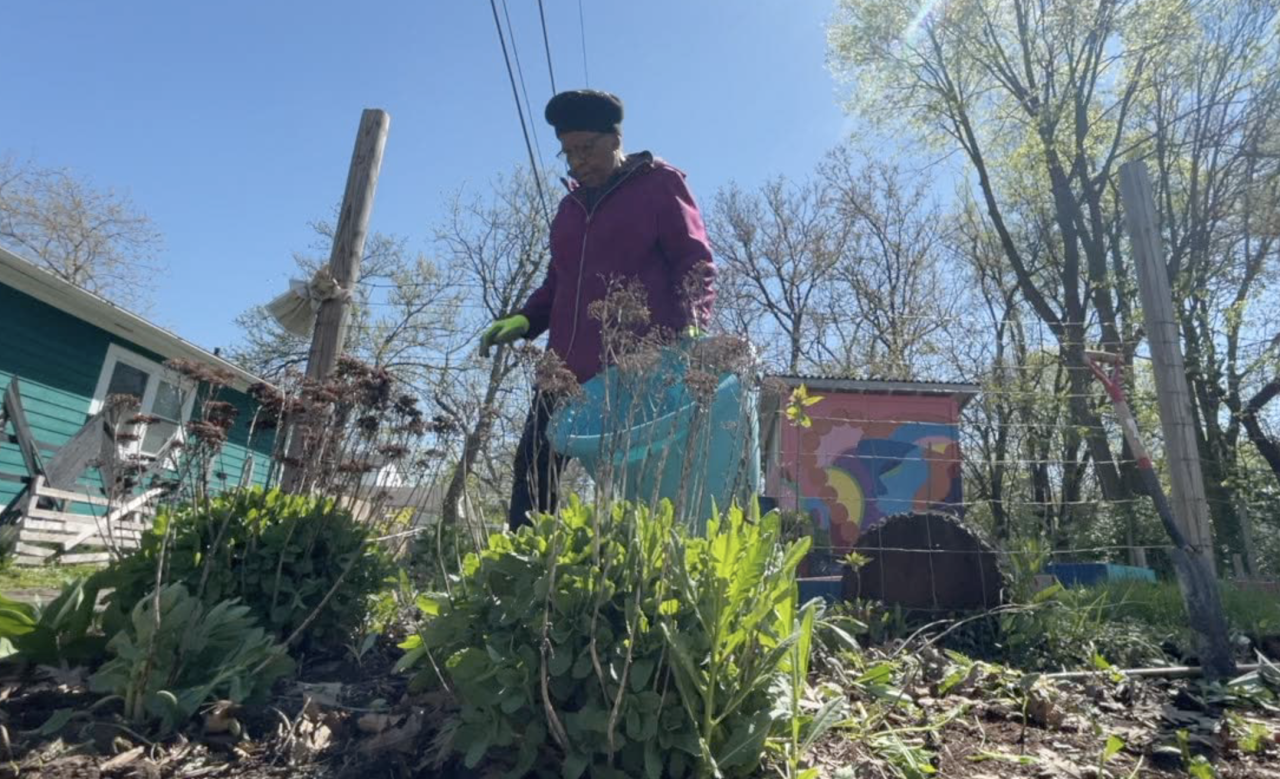 Screen Shot 2024-04-22 at 5.56.33 PM.png