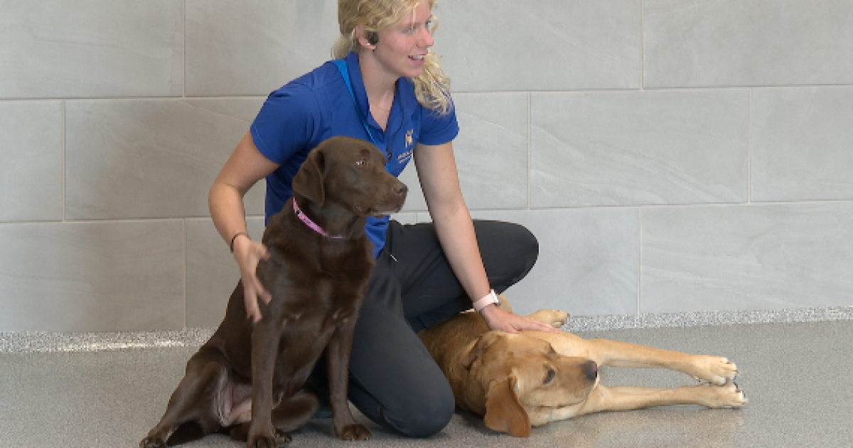 K9 Resorts Luxury Pet Hotel brings premium pet care to West Michigan families K9 Resorts Luxury Pet Hotel brings premium pet care to West Michigan families