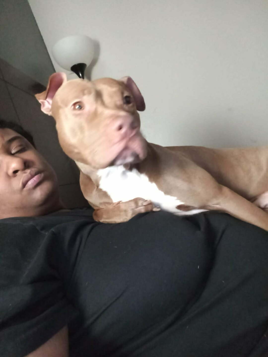 KENDALL'S PET DOG
