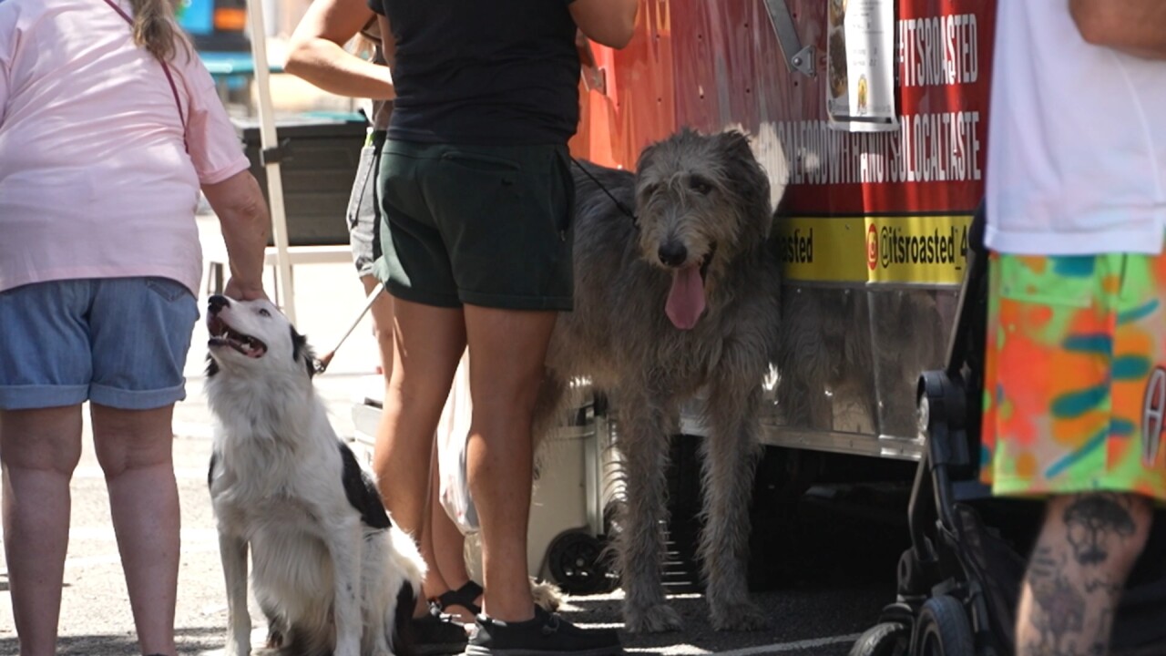 dogtrailer3_2.18.1.jpg