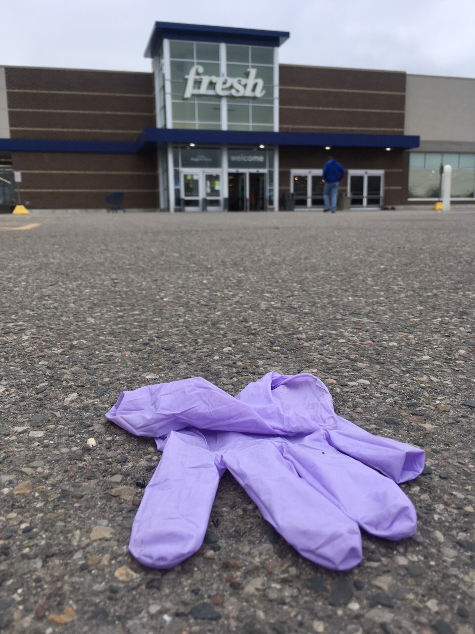 Meijer gloves 2.jpg