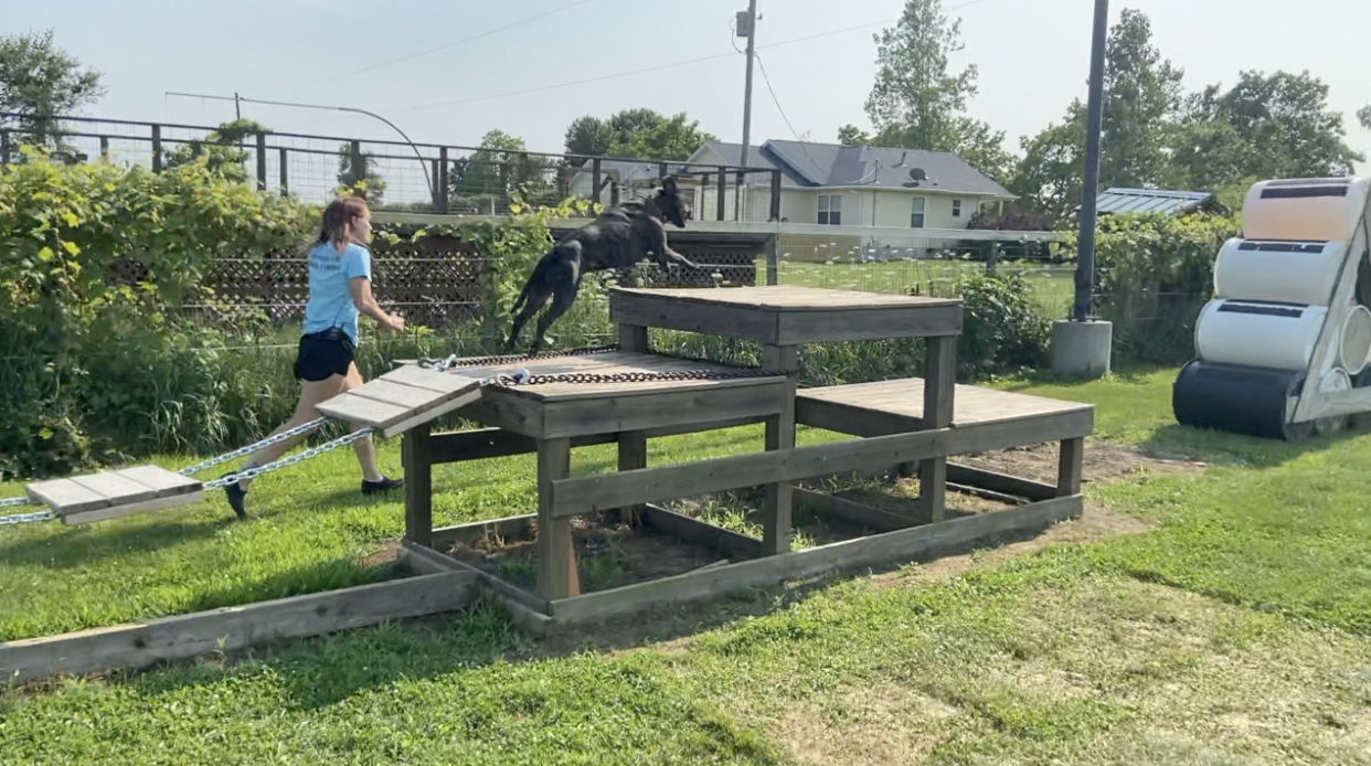 Rachel Clark and her dog Chewy running through the obstacle course