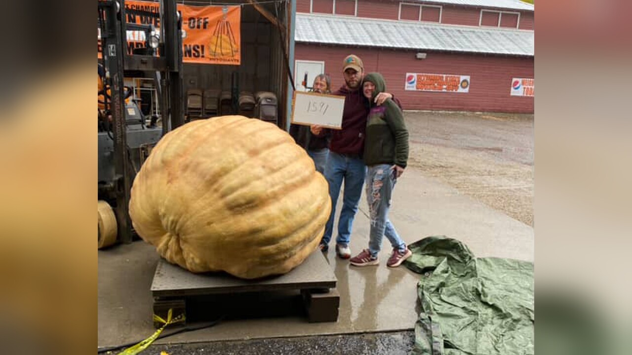 pumpkin9_3.10.1.jpg