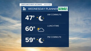 Wednesday Planner