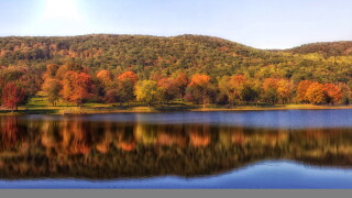SUNNY FALL 