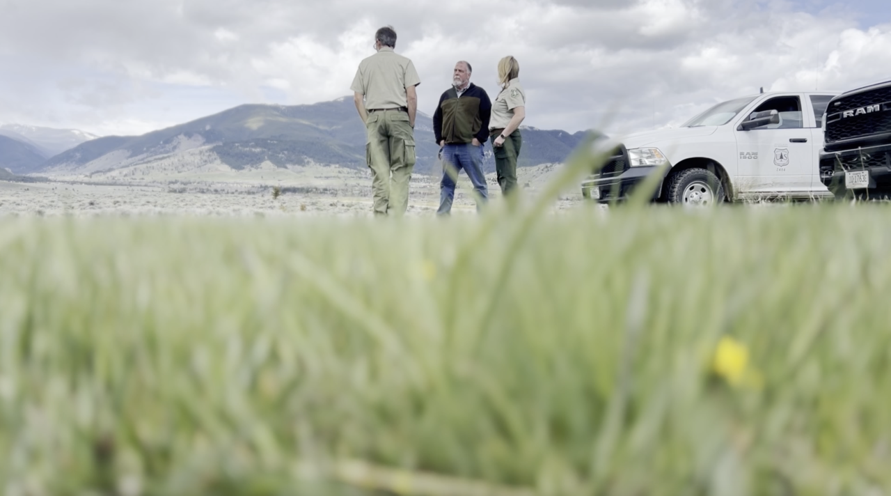 Screenshot 2024-05-19 at 11.33.51 AM.png