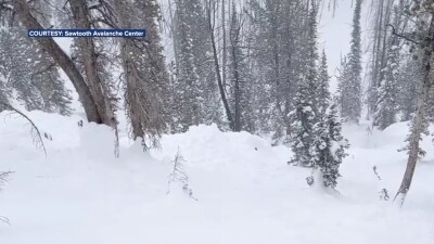 avalanche.jpg