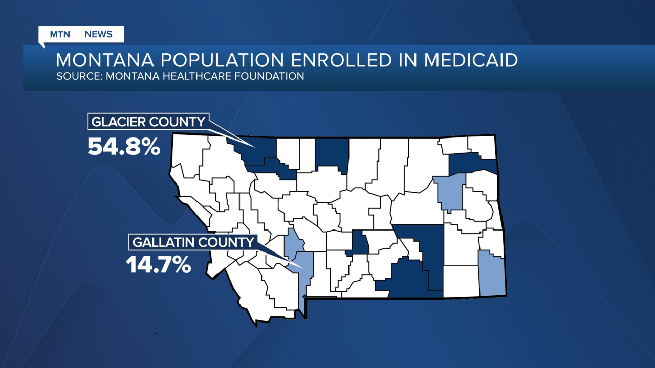 Medicaid Expansion Graphic