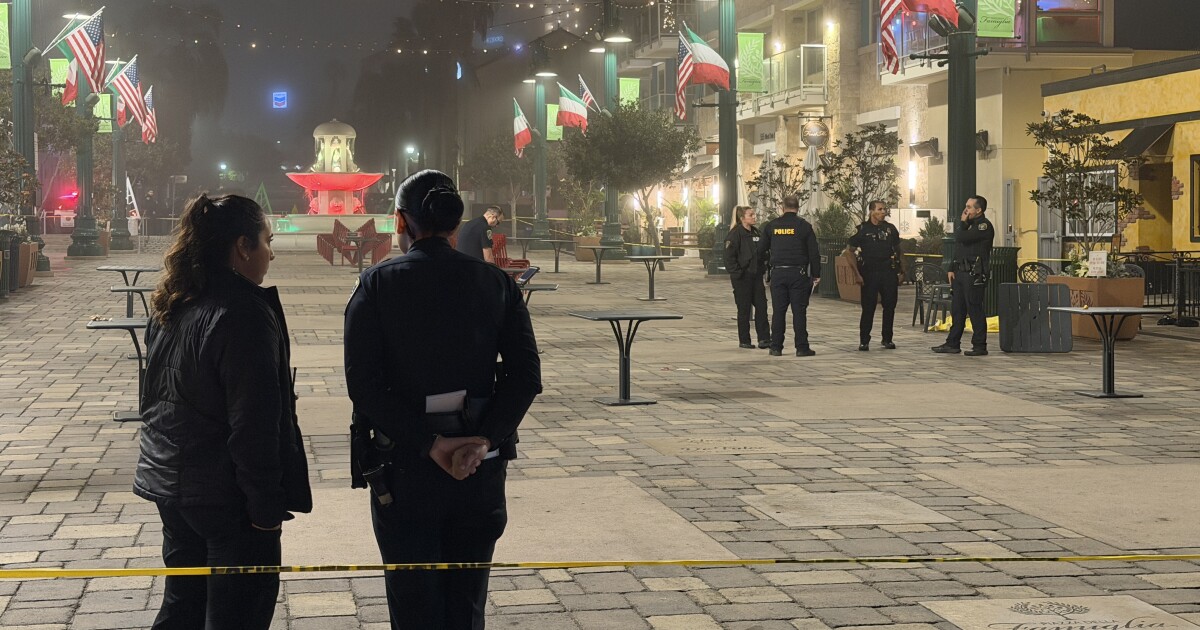 La Jolla woman sentenced in murder-for-hire plot dies by suicide outside Little Italy pub