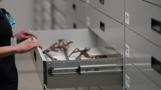 Items in the Montana Historical Society Archives