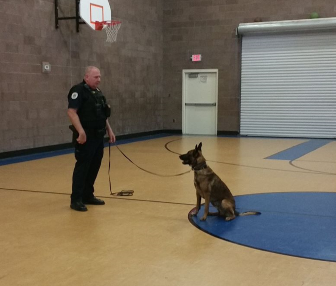 El Mirage Police K-9 Koki