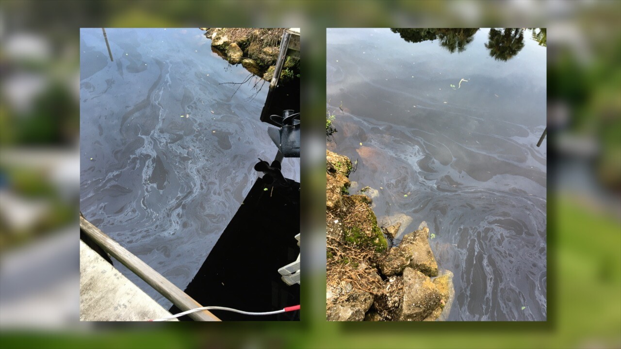 Photos that Gale Jones and Karen Brown took of the oil the day the boats sank in 2021.