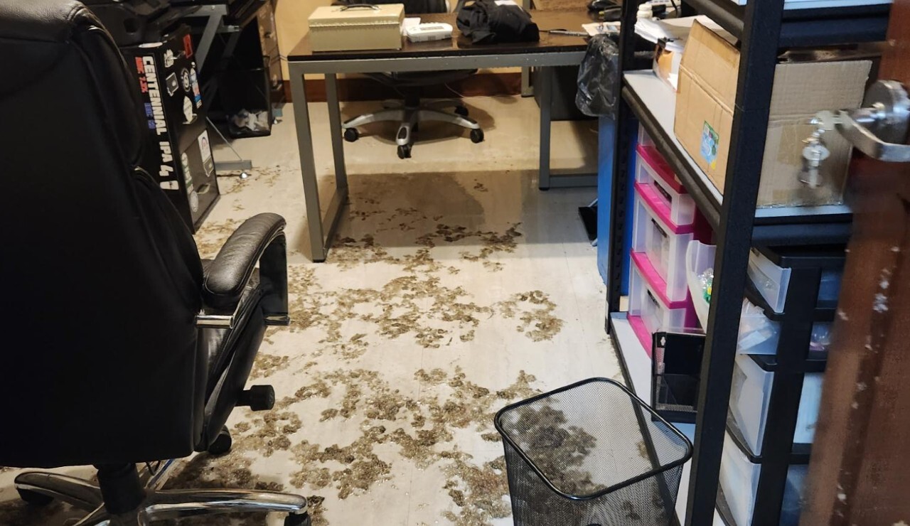 Flathead Brewing damage4.jpg