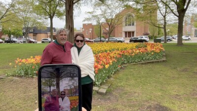 Tulip Time First Timer Tips