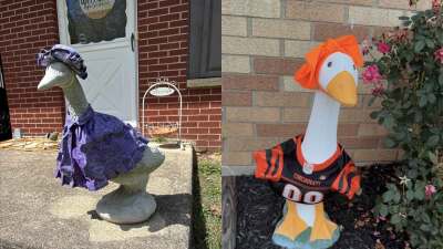 porch-geese.jpg