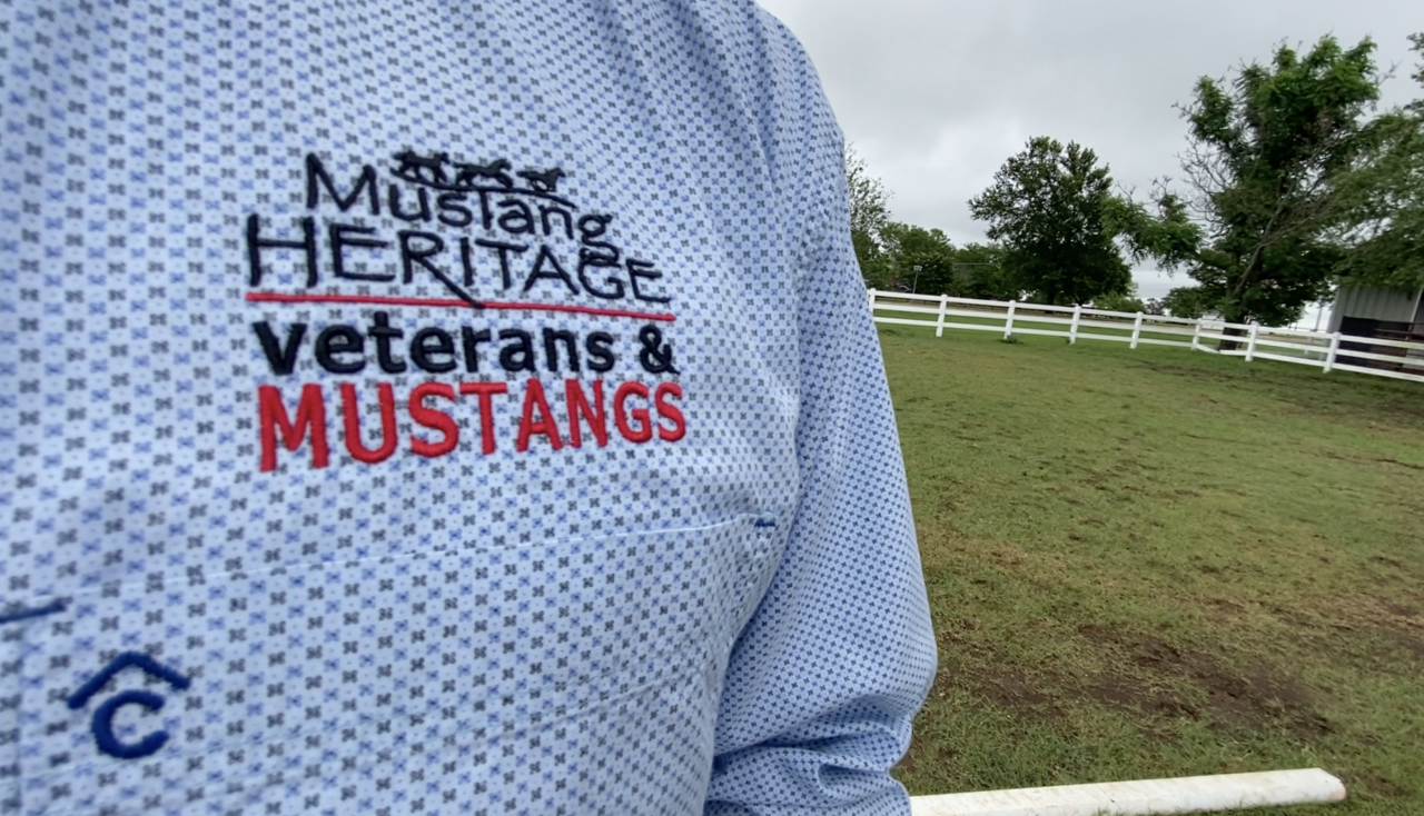 Screen Shot 2021-06-02 at 11.07.11 AM.png