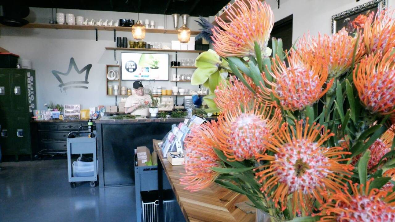 Photo features the tenant 'Stem Swag.'