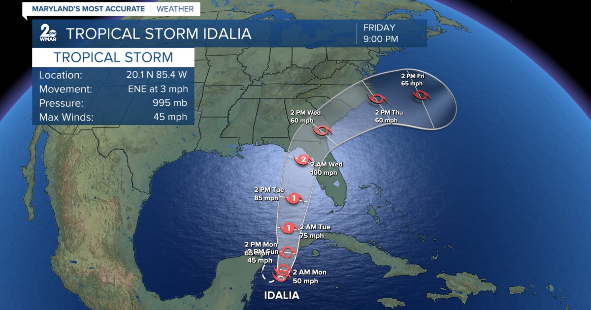 Tropical Storm Idalia eyes the southeast - Vimarsana News