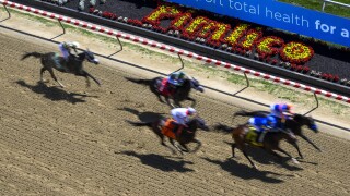 Preakness Stakes Horse Racing