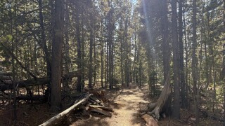 Staunton State Park_Deb Stanley