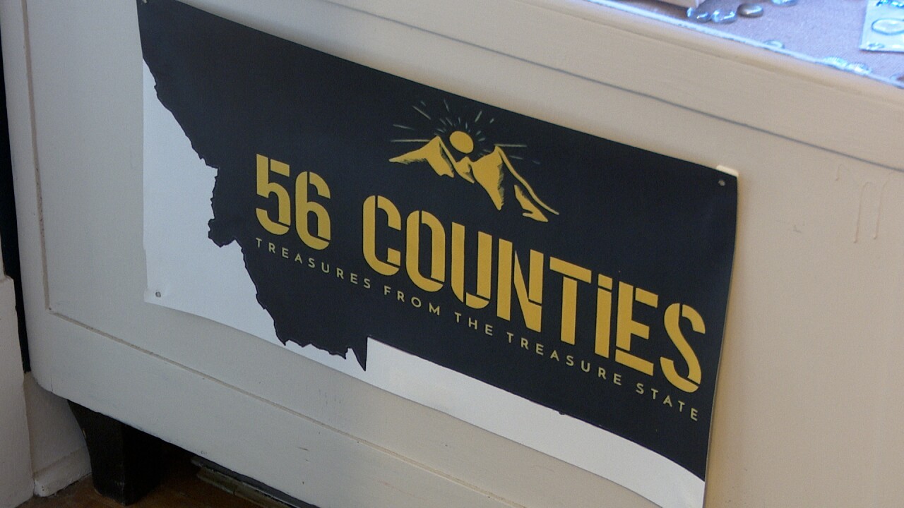 56 Counties Poster .jpg