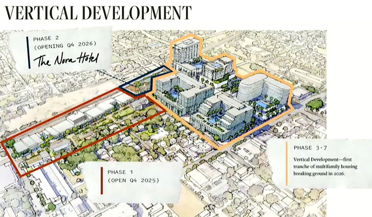 Nora development phases