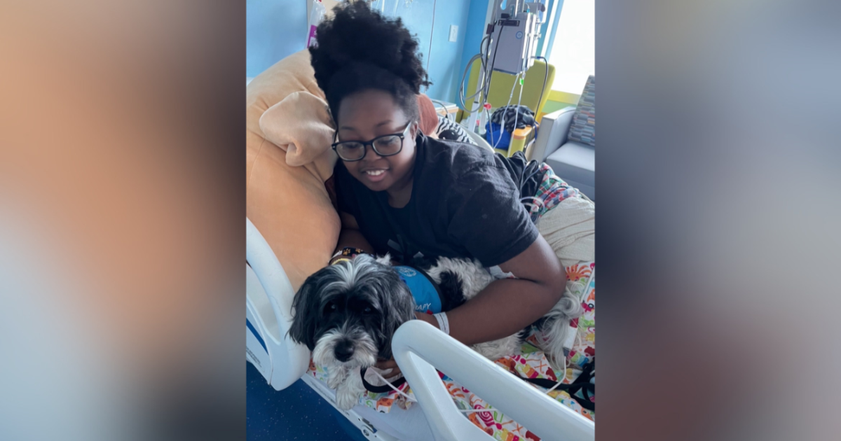 Urgent plea for rare blood donors to help Florida teen's life