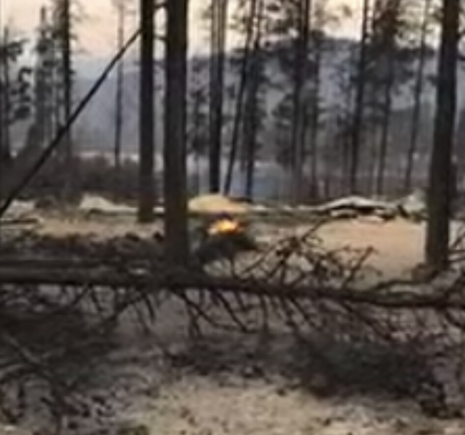 Charred remains of Twin Pines Lodge