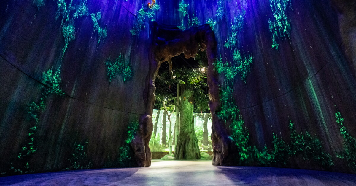 The wait is over! A first look inside Cleveland Metroparks Zoo's Primate Forest