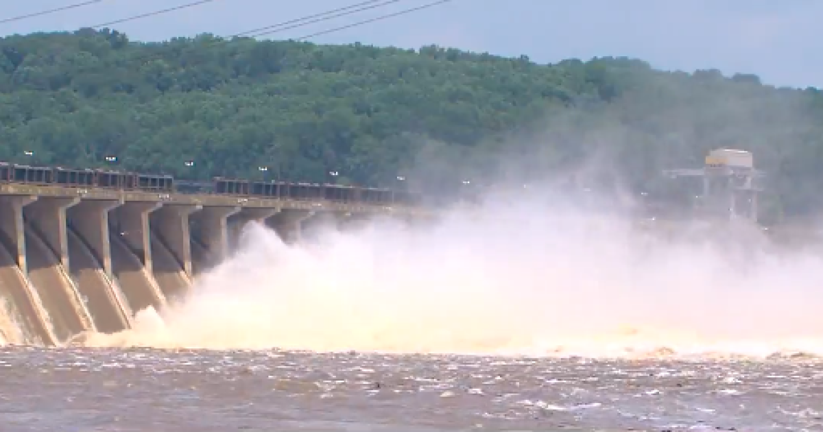 Vultures near Conowingo Dam may be dying of bird flu