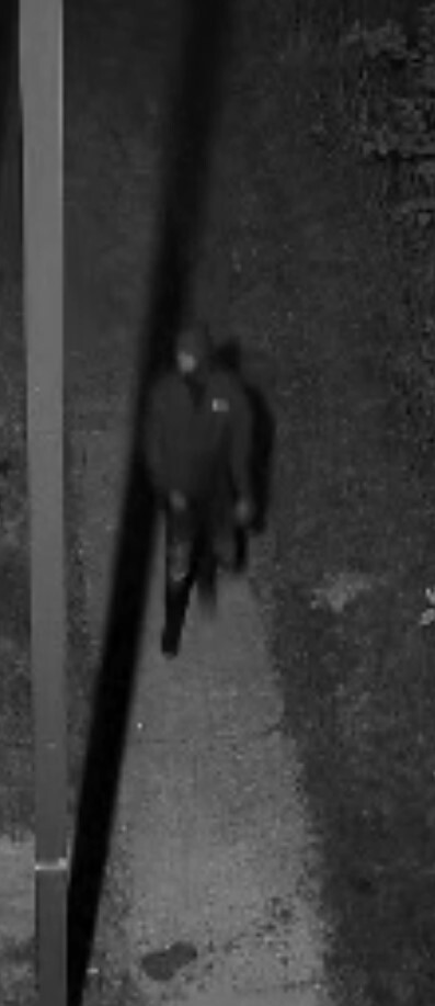 Benton Harbor Shooting