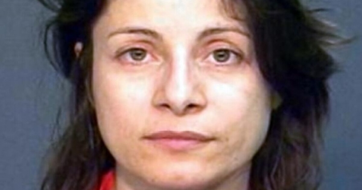 Professor sentenced in meatcleaver killing