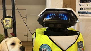 Dax the robot is helping Missoula County improve accessibility