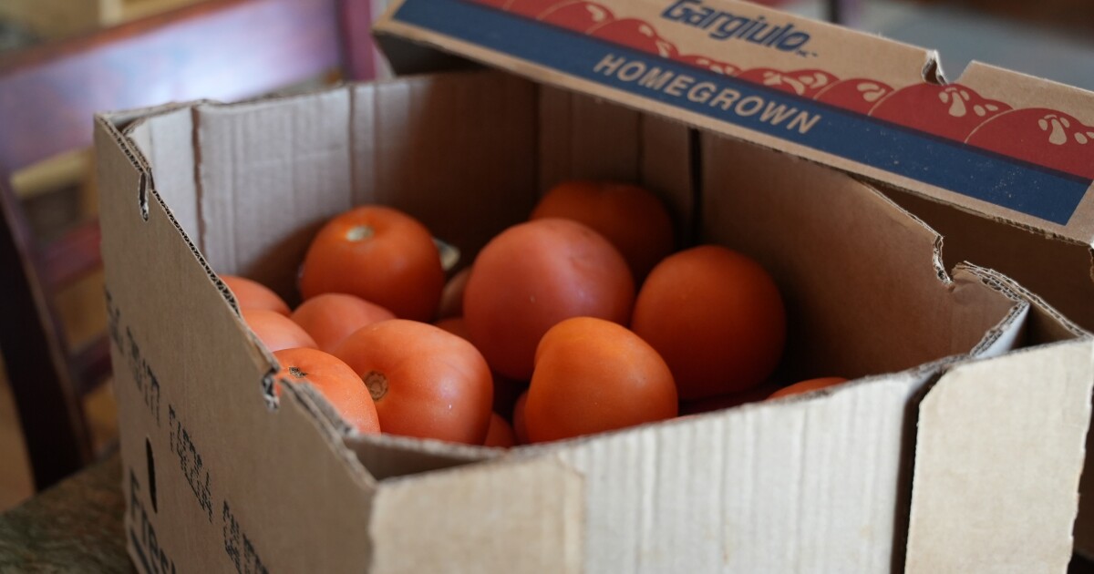 Pricey produce? New tariff on tomatoes from Mexico squashes local restaurants