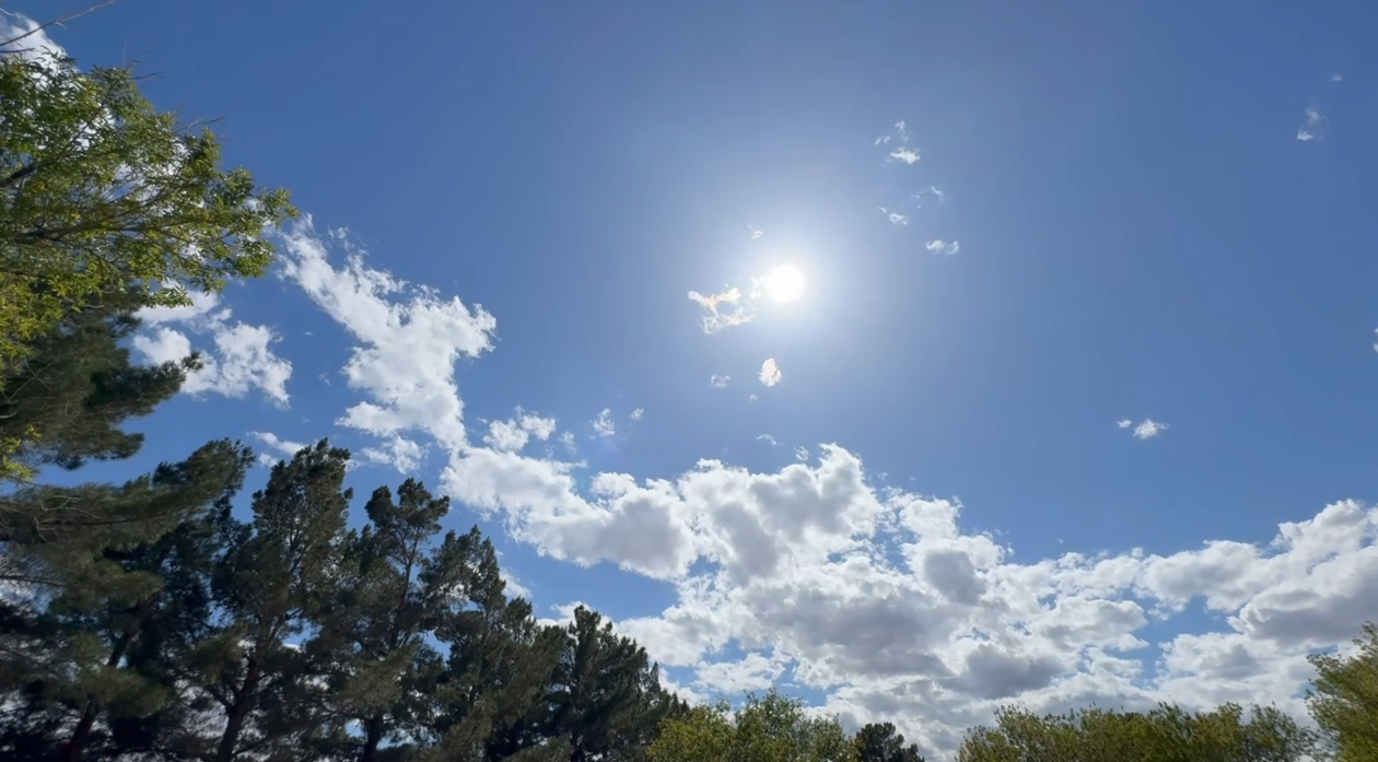 Pet mortician warns of rising heat-related pet deaths as summer approaches