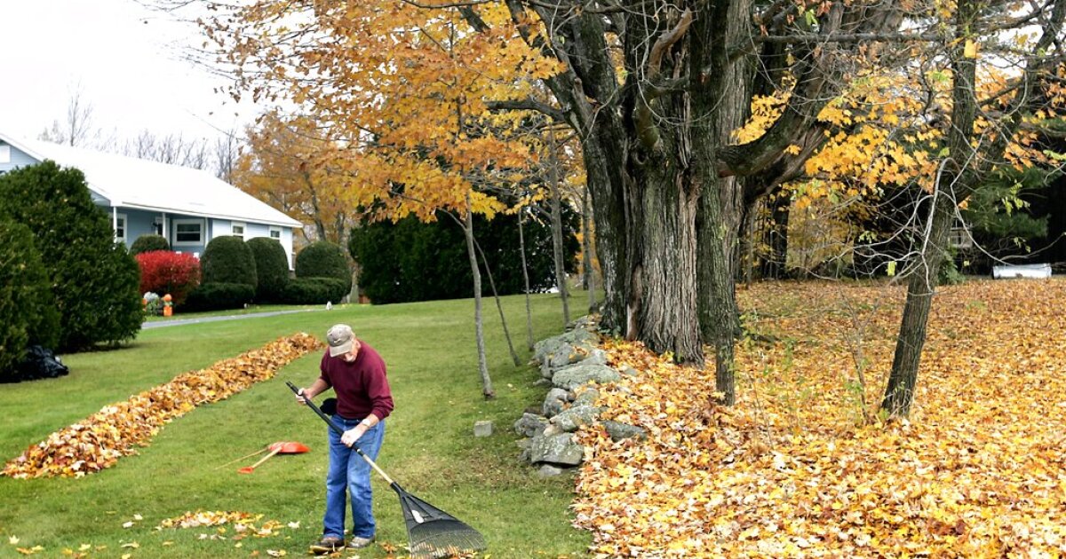 rake-up-meridian-starts-this-weekend