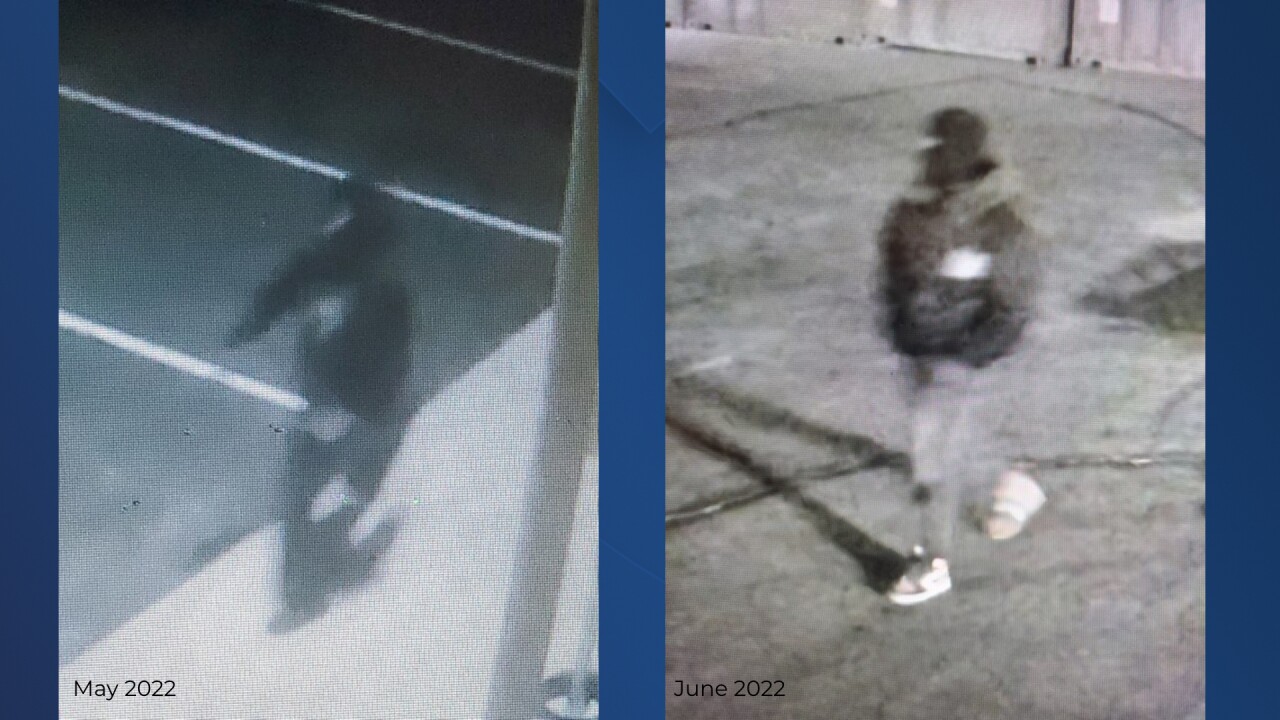 Alonzo Brown surveillance.jpg