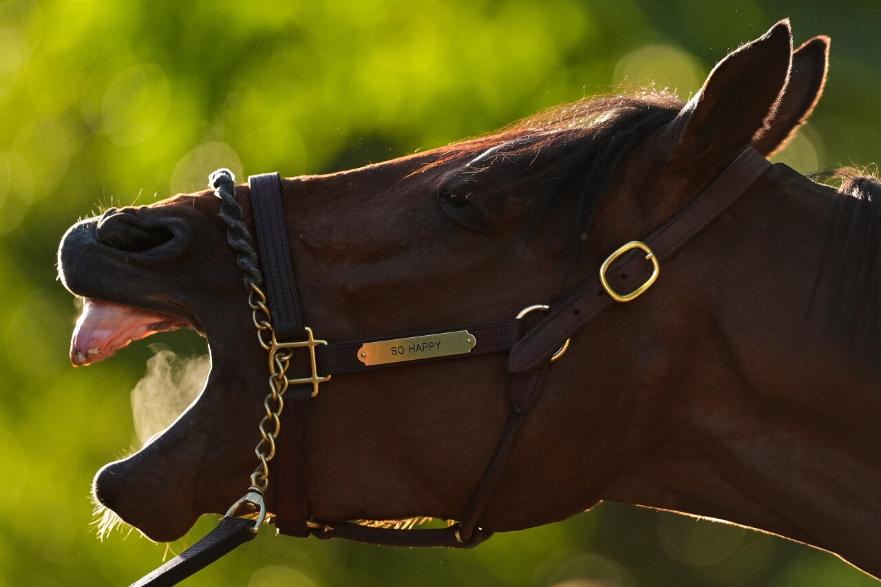 APTOPIX Kentucky Derby Horse Racing