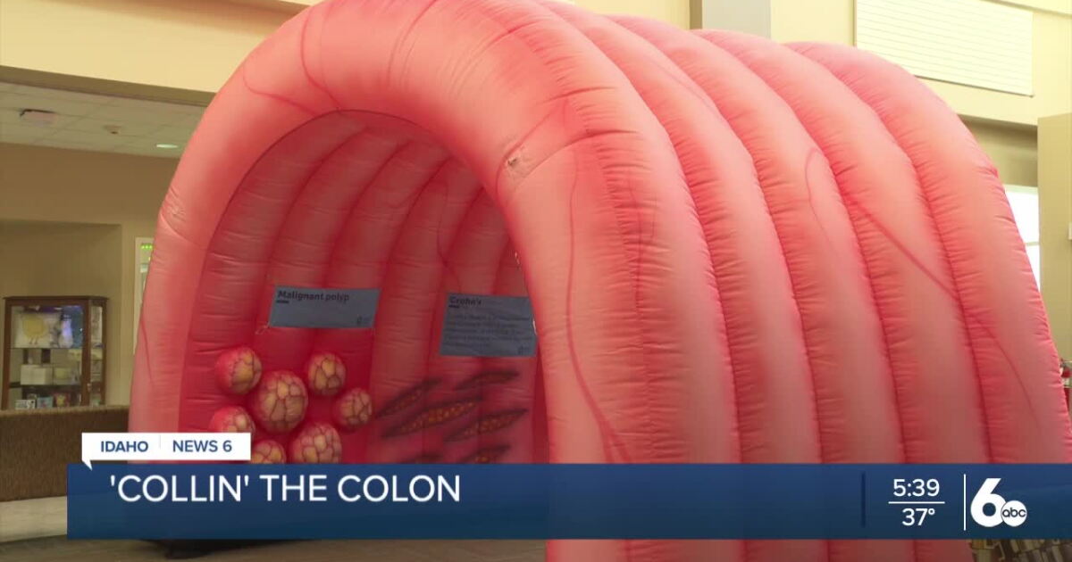 Small Inflatable Colon Colon Cancer Awareness event features 12-foot 113-pound inflatable colon