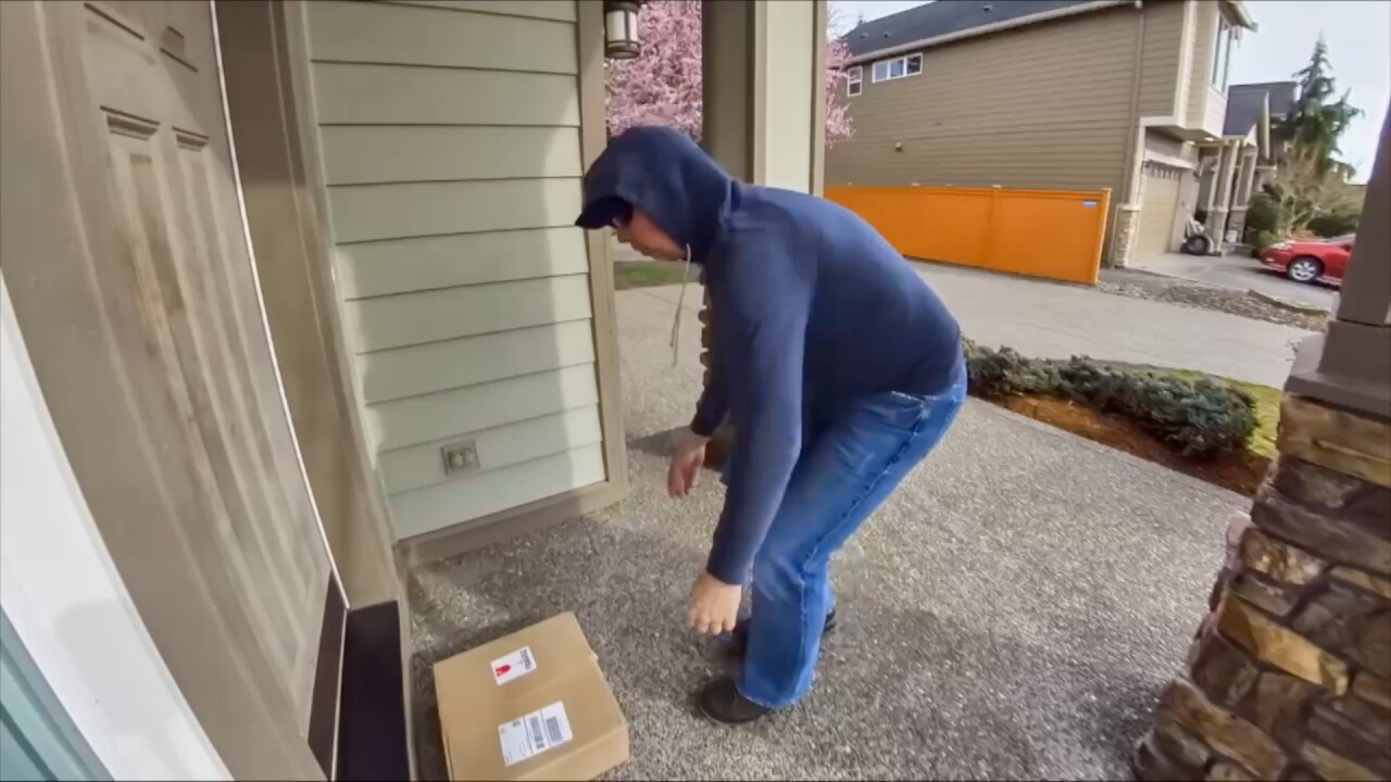Package thieves