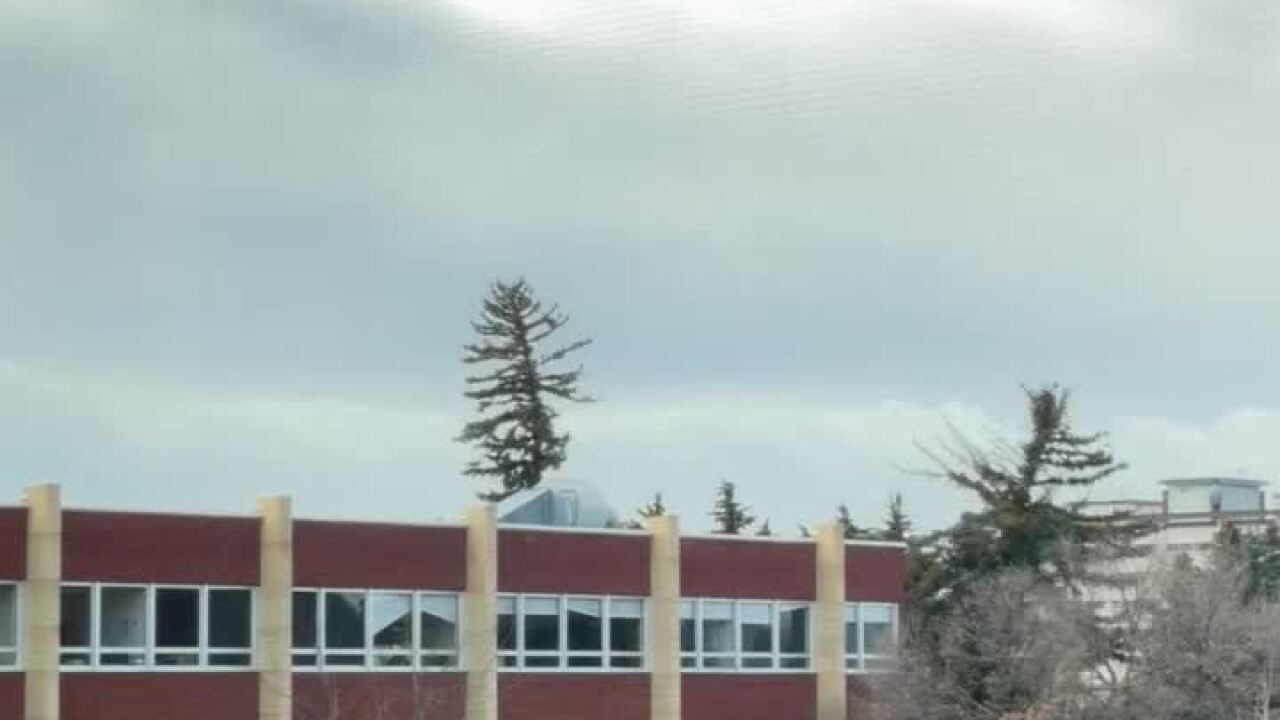 Poster image (2).jpg