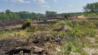 wilderness trail fire