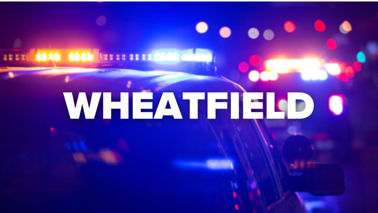 WHEATFIELD.jpg
