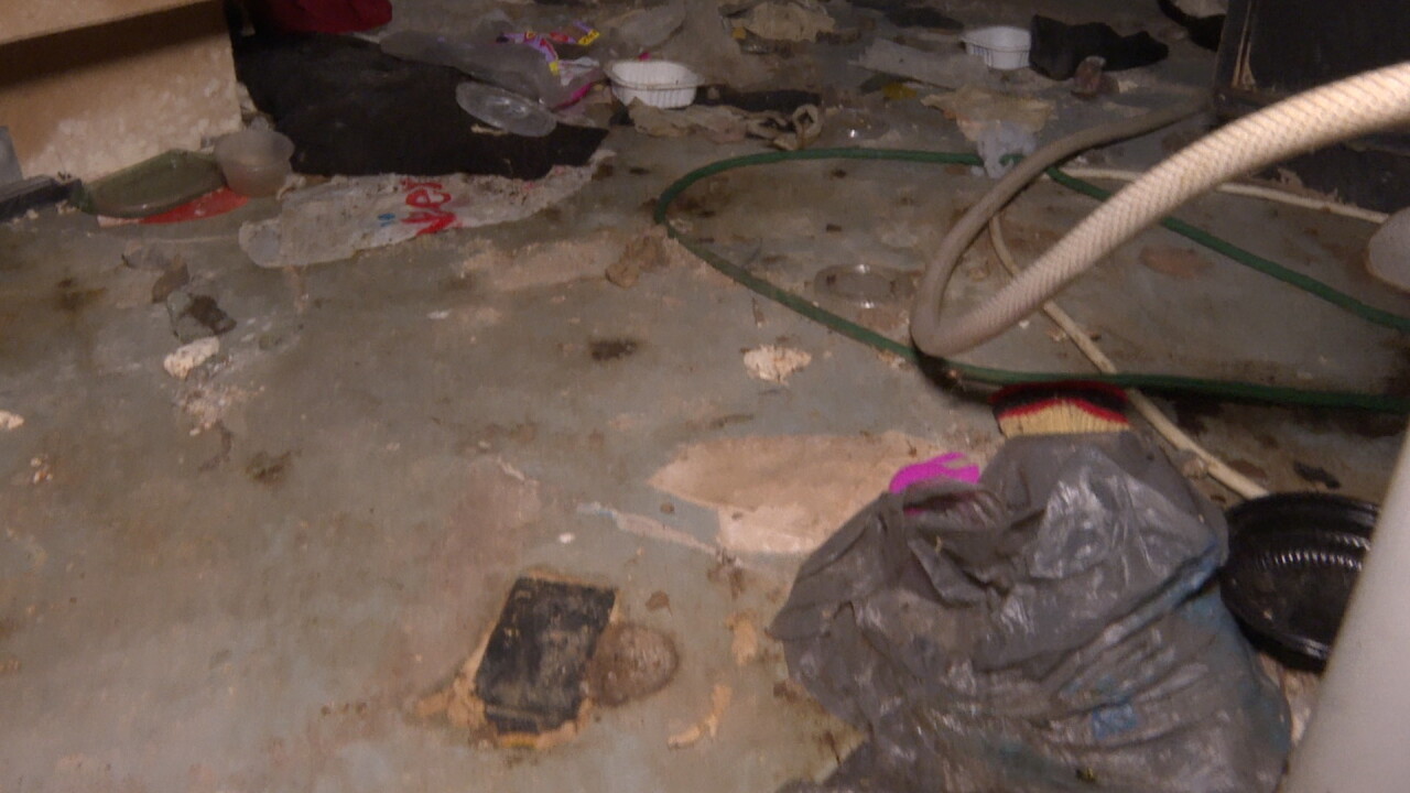 Inside Siao Ying Sandner's property