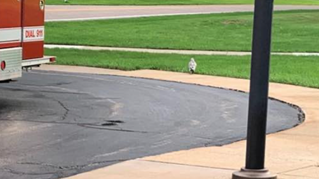 Portage firefighters rescue seagull 3.png