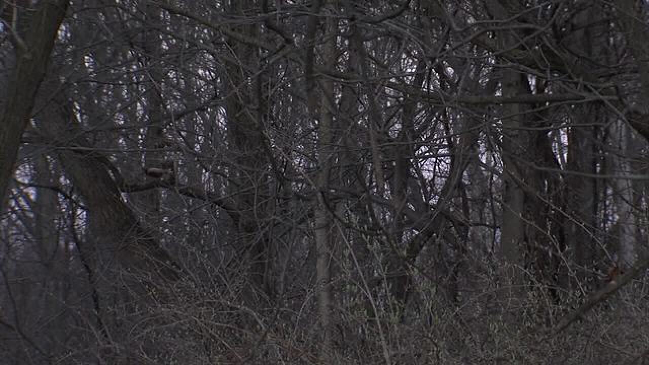 PICS: Crown Hill North Woods could be torn down