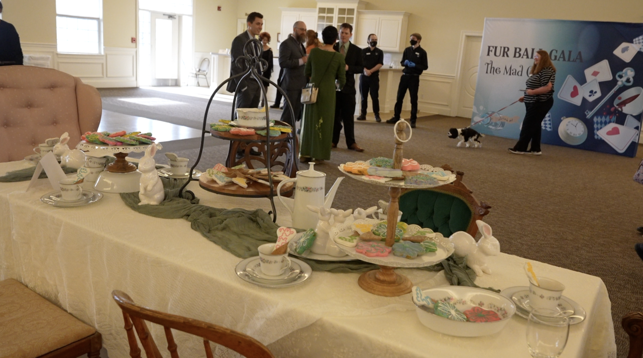 Dogs enjoyed a tea party-themed "dog spa" during the dinner.